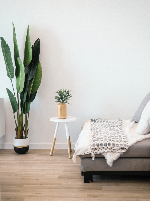 Exquisite Interiors Newsletter